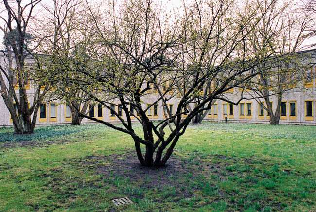 Burmanstorp 1, hus nr 6, interiör och innergårdar