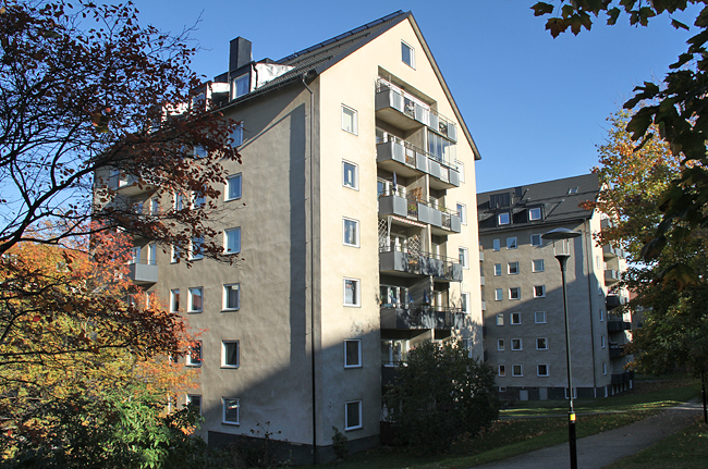 Björnen 13