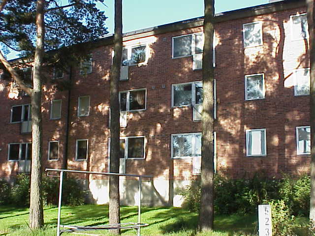 Östra fasaden på det sydöstra av husen längs Tusenårsgatan vetter med balkonger mot en gräs- och trädbevuxen markyta.