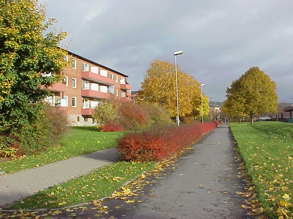 Jungfrustigen som löper mellan Jungfruplatsen och Frejagatan är lummig och dubbel. Till vänster syns ett hus med trippelbalkonger.