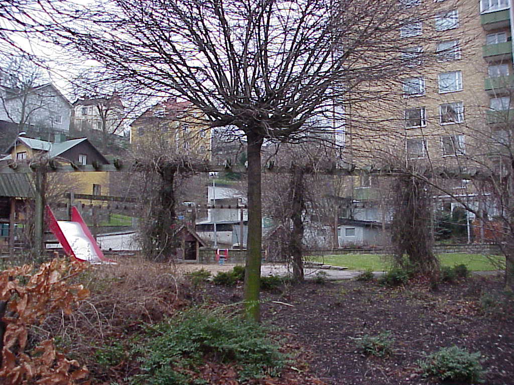 Som kontrast till den strama arkitekturen finns rundade lekplatser kringgärdade av frodig växtlighet. I bakgrunden till höger skymtas utbyggnaden där en panncentral tidigare inrymdes och på berget till vänster syns en del av husen i det äldre villaområdet.