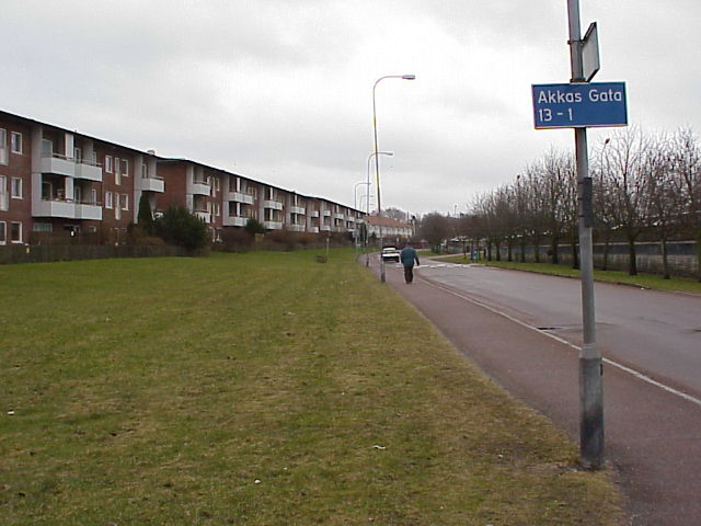 Vy längs Nils Holgerssons gata. Bakom trädraden till höger sträcker sig två parkeringsdäck utefter gatan.