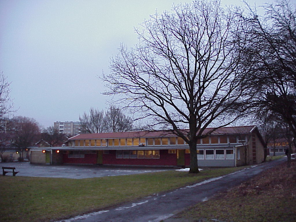 Björkåsskolan från skolans gård.