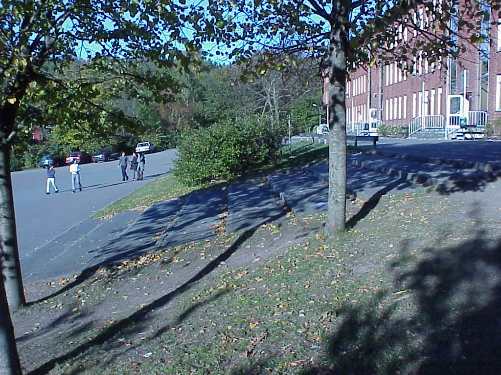 Skolgårdens sluttning tas upp med en zon av terrasseringar och plantering.