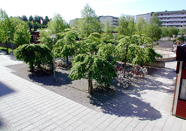 Akalla, Mariehamn 3, Mariehamnsgatan 5, Foto fr SO.

Cykelparkering under träd vid Sibeliusgången. I bakgrunden skymtar den muromgärdade lastplatsen.