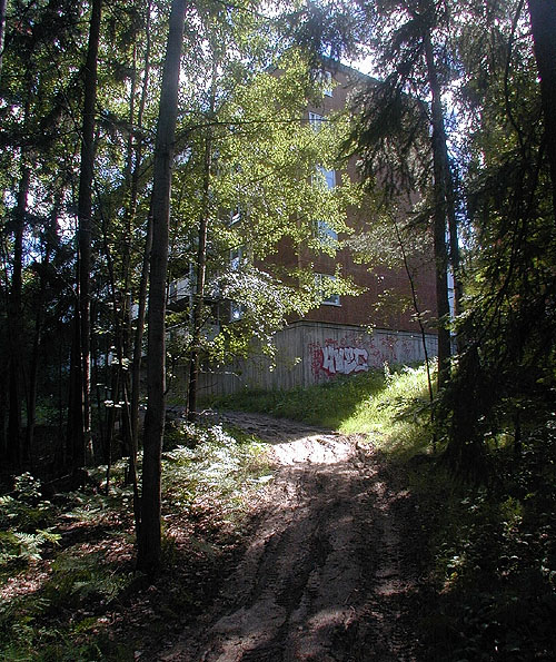 SAK10260 Sthlm, Husby, Telemark 4, från N

Området gränsar i norr mot ett skogsparti.







