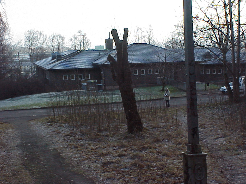 Behnadlingshemmet betraktat från skogspartiet i väster. 