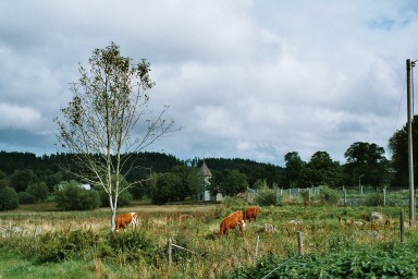 Härja kyrkby. Neg.nr. 04/196:11. JPG. 