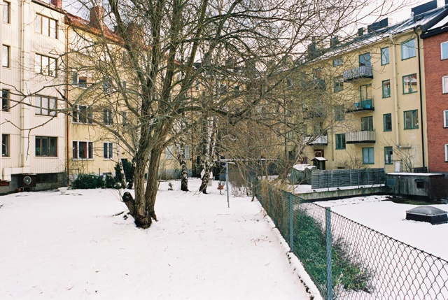 Vildrosen 9, 10 och 11, fr väster