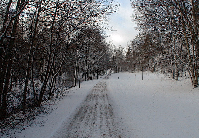 SAK03218 Vårberg, Vårberg 1:1, Foto fr NO, , 2000-02-25, JST 

Denna gångväg leder ner till badplatsen.


