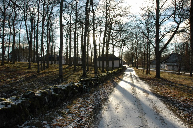 Den norra infarten till Sveneby herrgård. Till vänster skymtar huvudbyggnaden och flyglar, till höger det yttersta flygelparet, närmast mejeriet. I vägens förlängning bortom gårdsplanen ligger ladugården och övriga ekonomibyggnader.