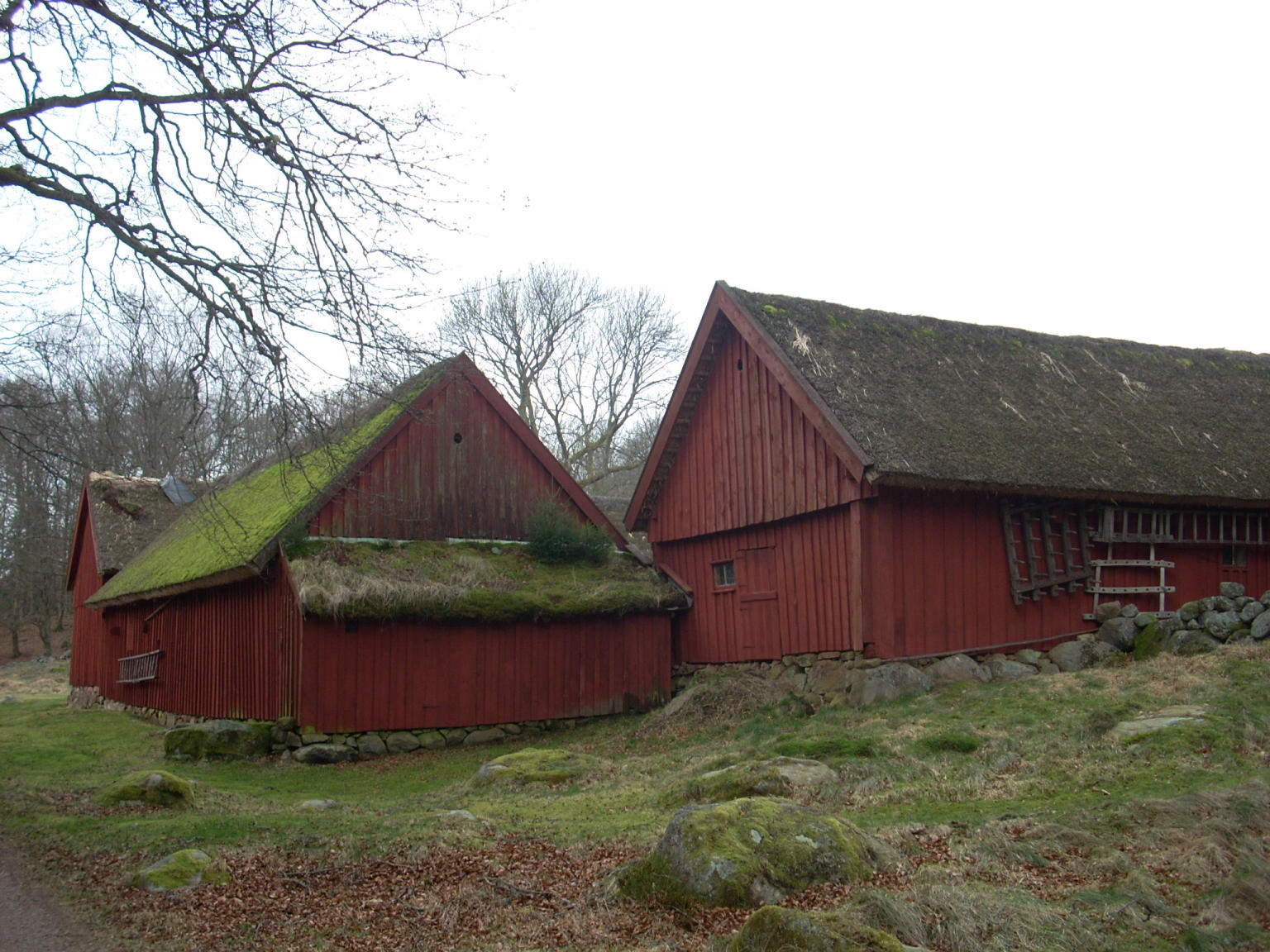 Ladugården till höger, baksidan.