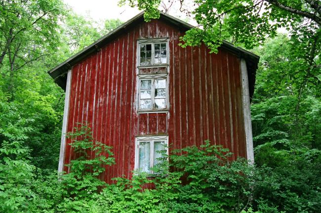 Den västra gaveln. Byggnaden slukas snart av naturen.