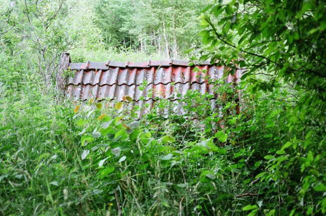 Jordkällaren. Bilden tagen från nordväst.