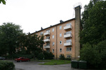 SSMYSDIG009202.jpg