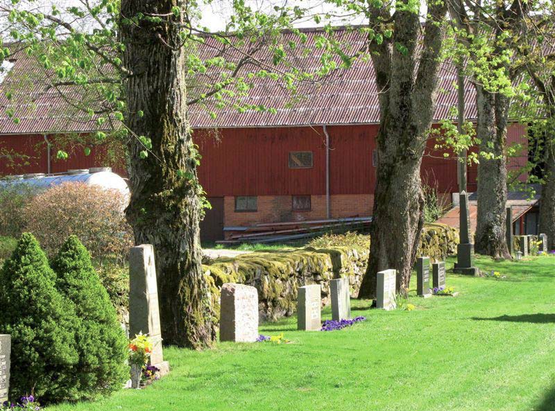 Raden längs norra kyrkogårdsmuren. Ett blandat vårdbestånd i form och ålder.