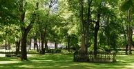 Kyrkogården. 
De sammanlagt sex gräsytorna på kyrkogården kantas överallt av höga träd. Planteringar har borttagits. Flertalet gravar är från 1800-talet och utgörs av höga resta stenar,