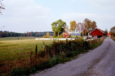 Mellan Vassända-Naglums kyrka och riksväg 44 i norr är en hästgård belägen.