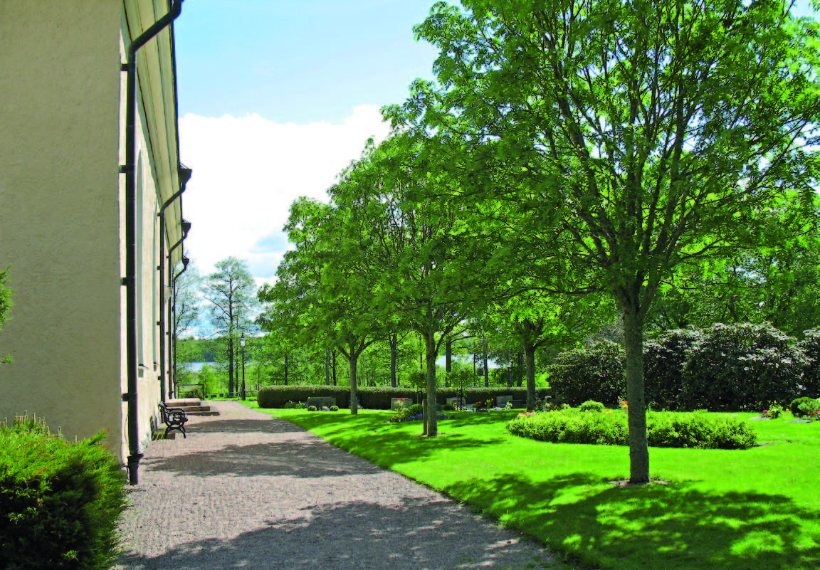 Rönnar söder om kyrkan.