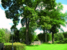 Runt den gamla delen av kyrkogården, utanför kyrkogårdsmuren, växer
en trädkrans som består av lönn och lind.