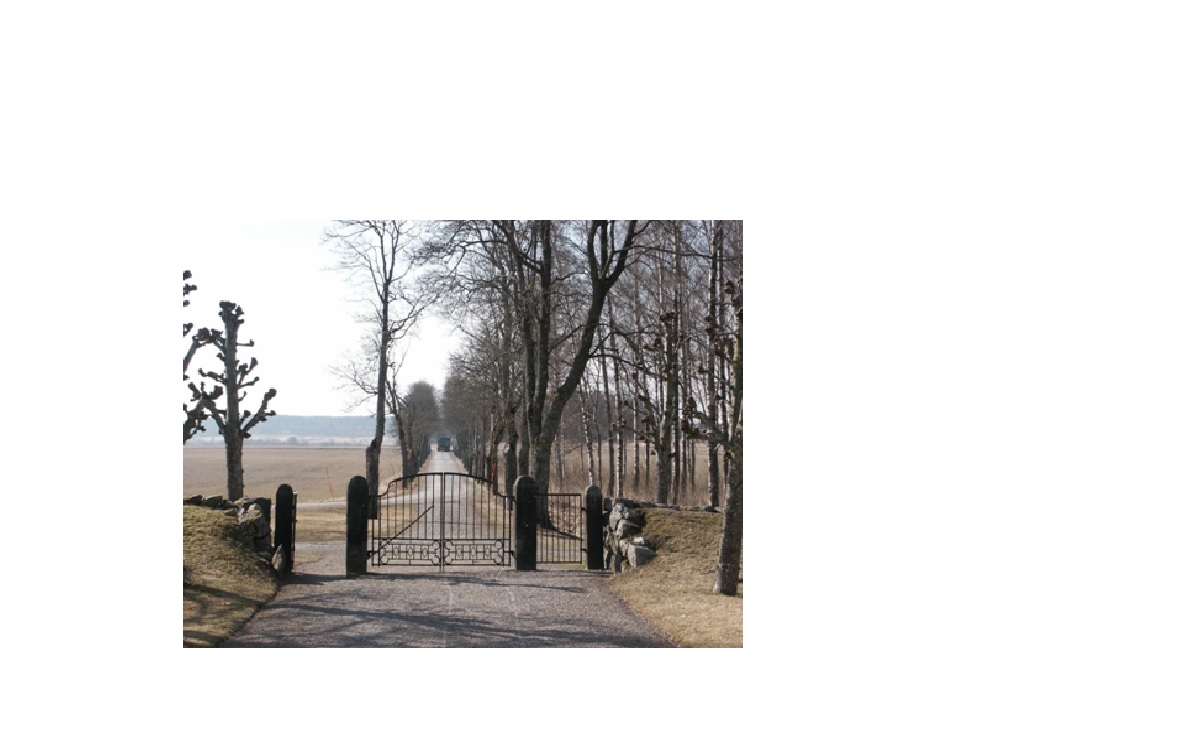 Södra kyrkogårdsgrinden med allén mot söder. Foto Johan Dellbeck