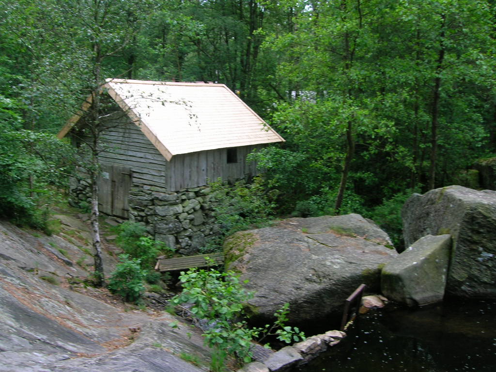 SKOG 1:6