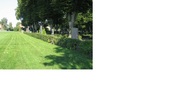 Hagtornshäcken som omgärdar kyrkogården i sydväst.
(KI Södra kyrkog 497)