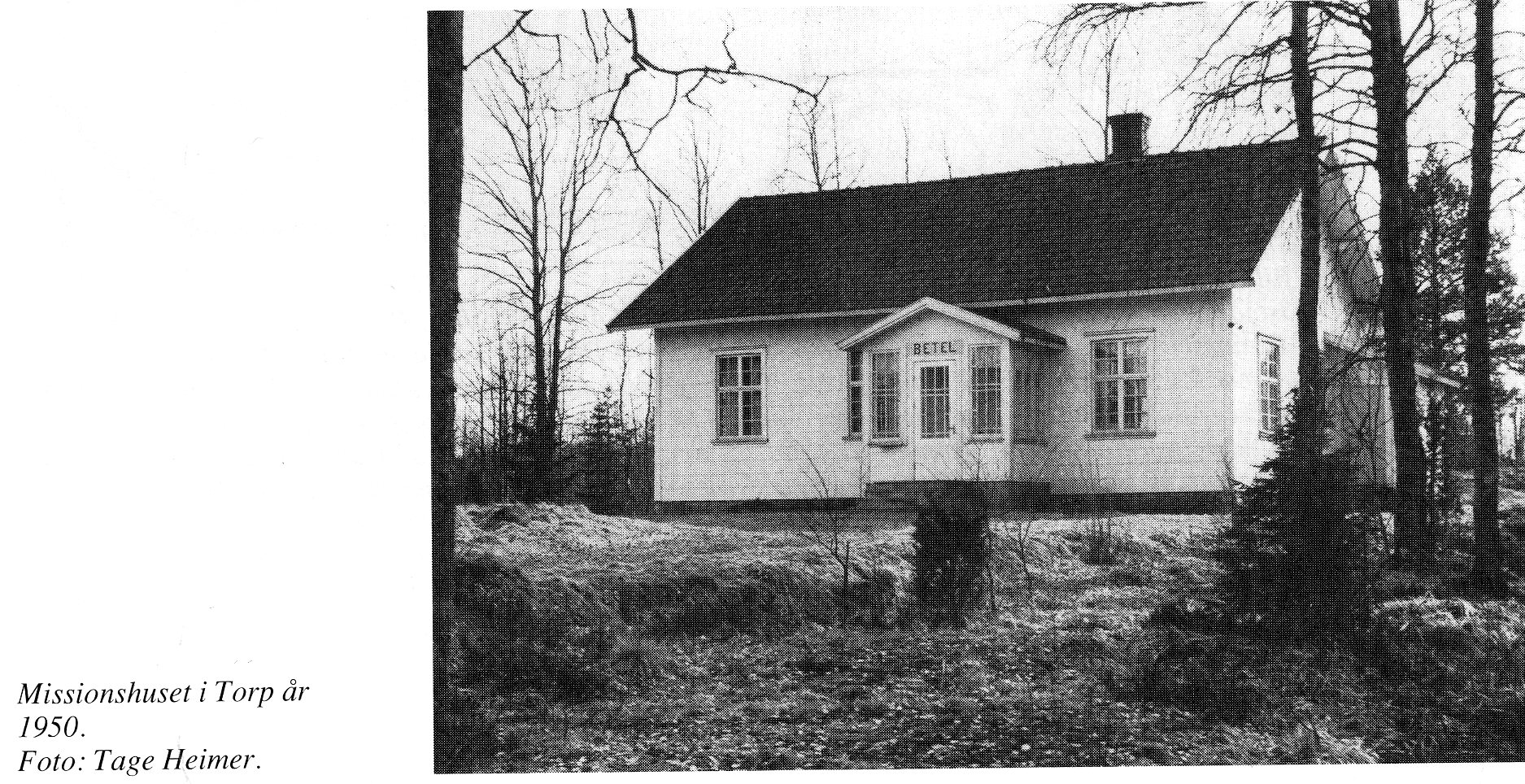 år 1950