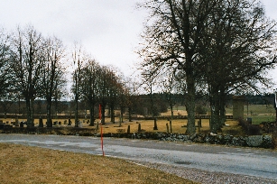 Tranums kyrkogård, belägen söder om landsvägen. Neg.nr 03/137:12