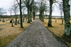 Tranums kyrkogård, belägen söder om landsvägen. Neg.nr 03/143:22