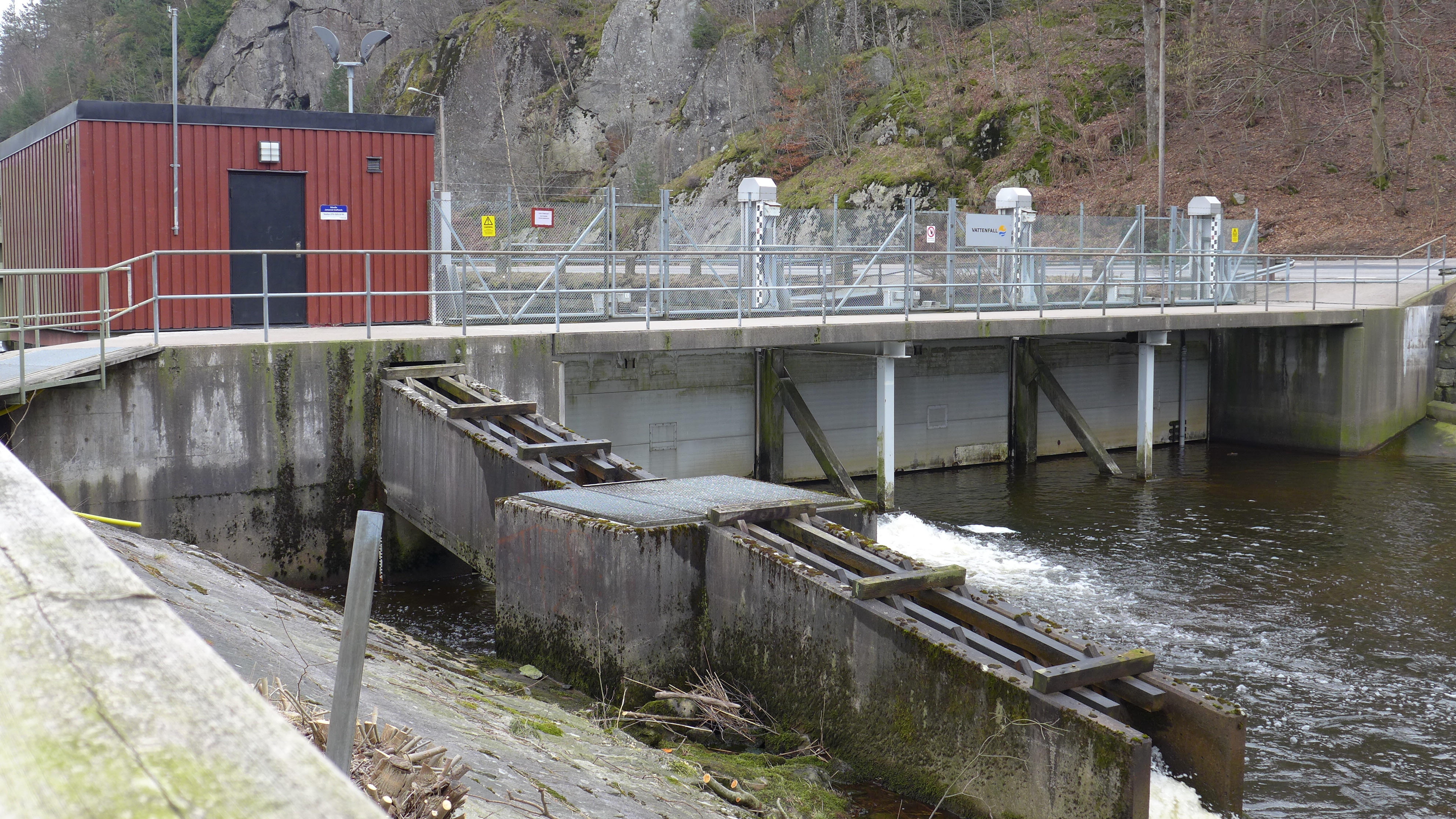 Dammen är en massivdamm av betong. Denna ersatte 1990 den äldre dammen som tidigare var av natursten och gjutjärn. Regleringen sker via två intagsluckor och tre utskovsluckor. Samtliga är maskindrivna planluckor av stål. 
