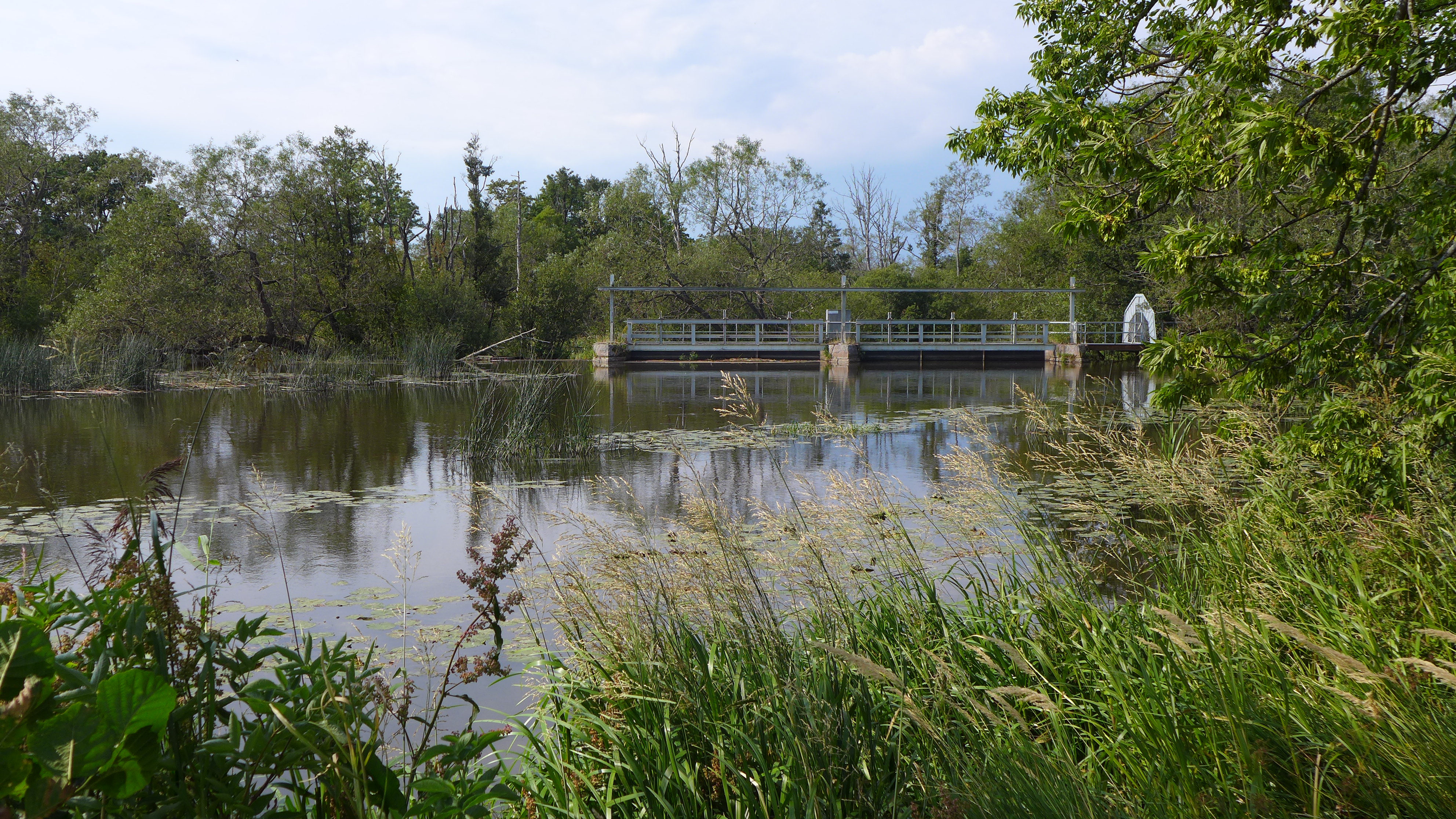Dammen skapar en cirka 15 000 kvadratmeter stor vattenspegel där ån Tidan är något bredare. 
