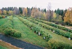 Lockne kyrkas kyrkogård, yngre delen. 

Bilderna är tagna av Christina Persson & Isa Lindkvist, bebyggelseantikvarier vid Jämtlands läns museum, i samband med inventeringen, 2005-2006.