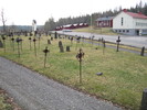 Högsjö kyrkas kyrkogård, västra kyrkotomten med gravkors, vy från nordväst. 