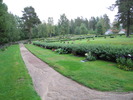 Björna Kyrkas kyrkogård, vy från väster.