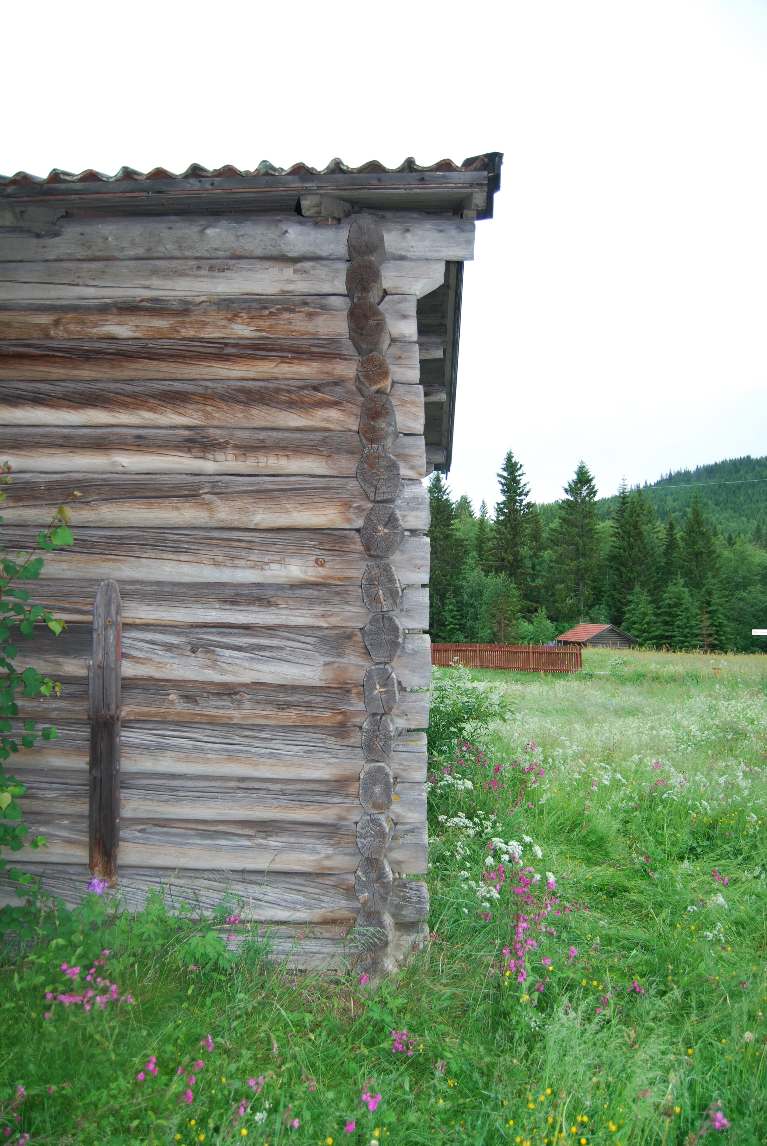 Ria tillhörande Klockargården Bingsjö