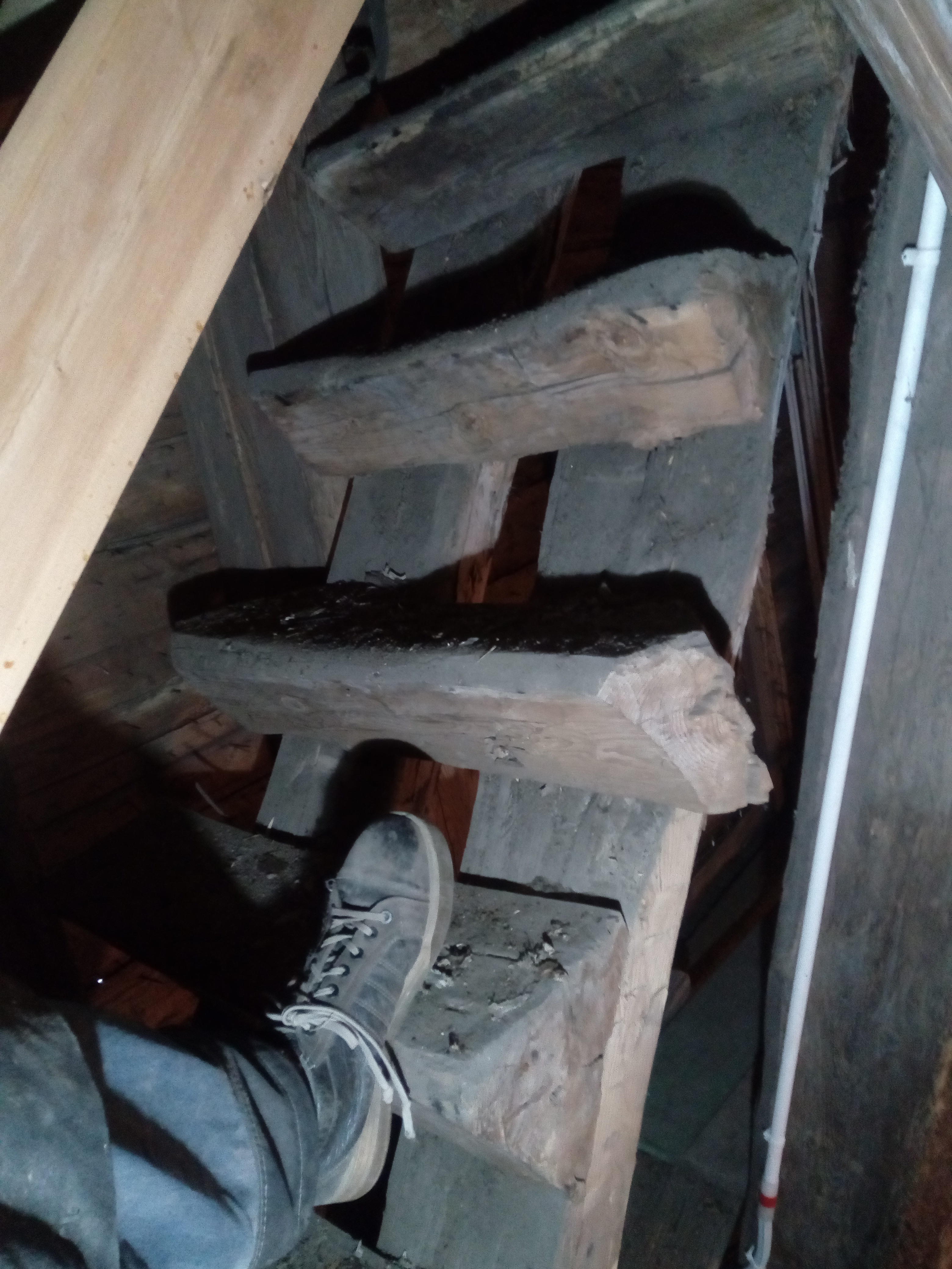 Äldre bevarad trapp med rejäla trappsteg. Foto: Bengt Bygdén