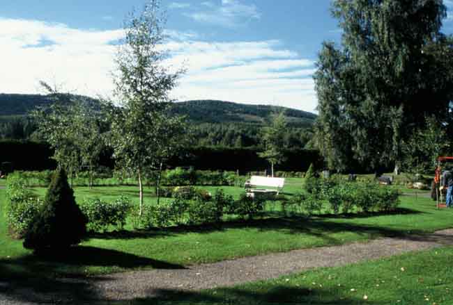 Högst upp på den nya kyrkogården.