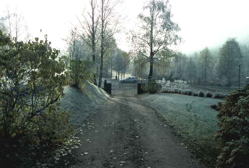 Kyrkogården.