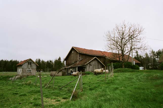 Ladugård och bod.