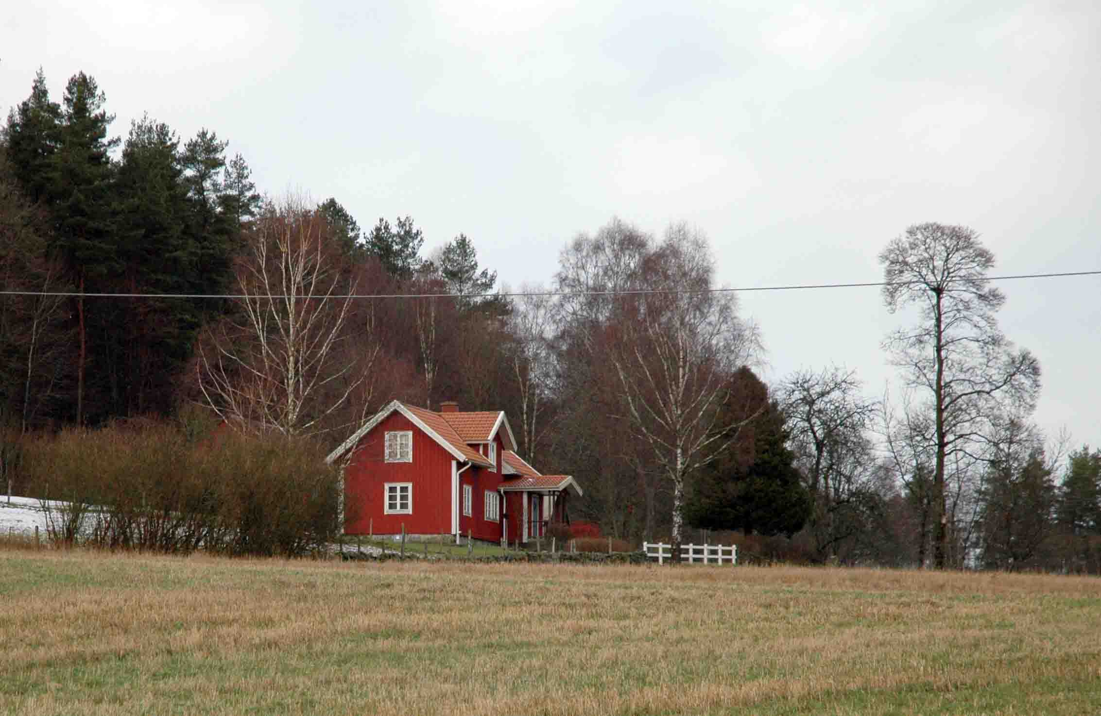 SVARTRÅ 2:18