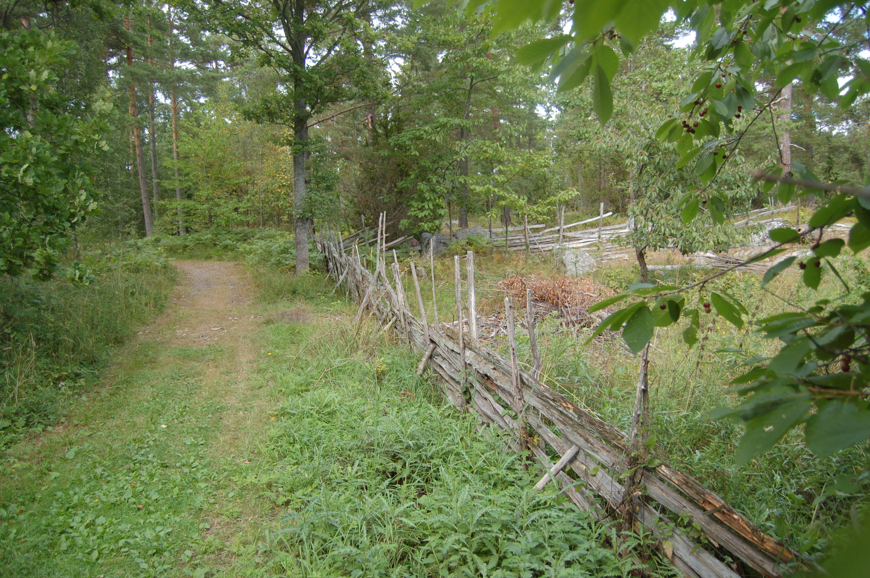 På Svartsö finns många typer av landskapselement som vittnar om ett mångårigt brukande av landskapet. Östra Svartsö karaktäriseras av äldre brukningsvägar, stengärdesgårdar och även bevarade trägärdesgårdar.