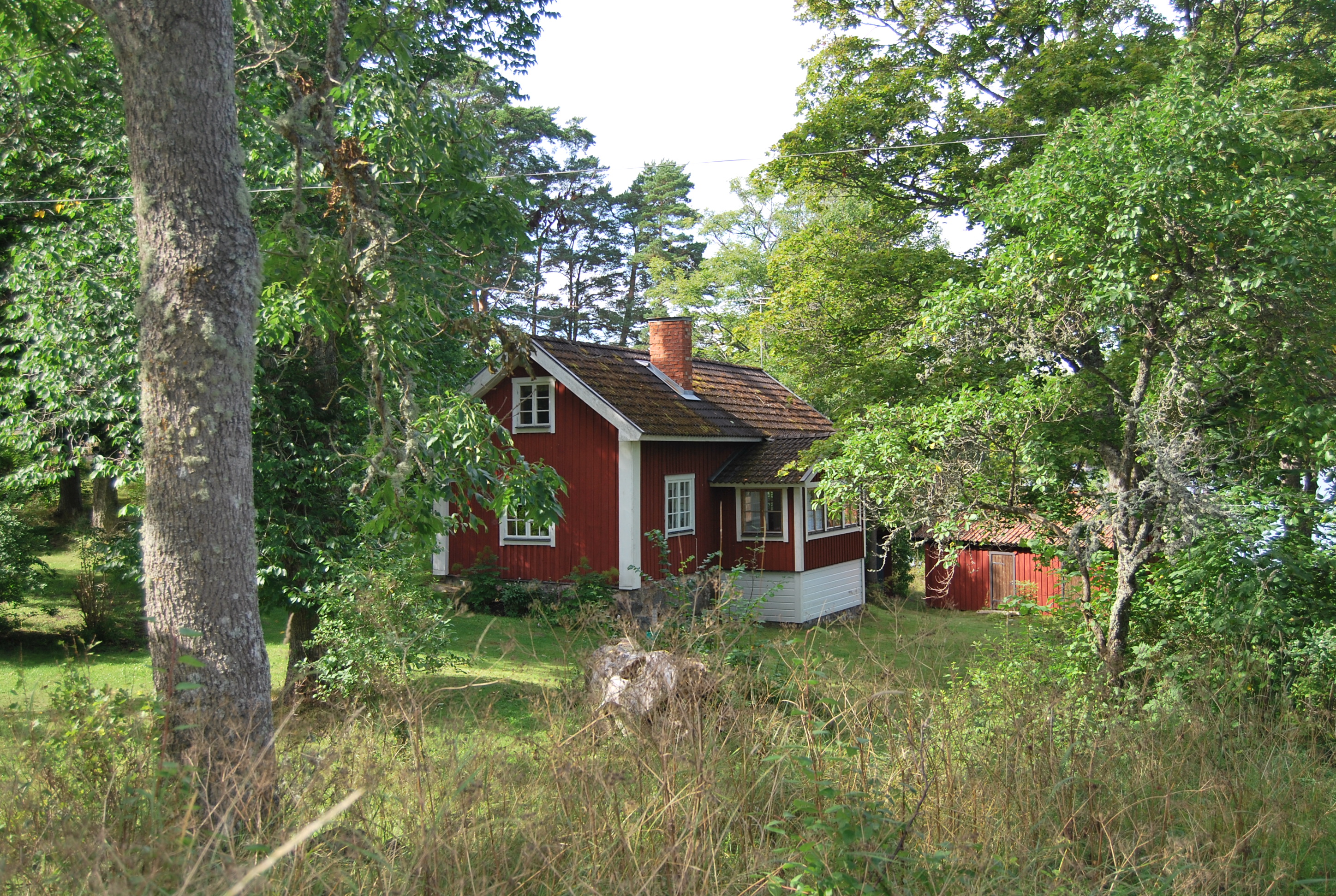 Byggnaden i sin omgivande miljö.