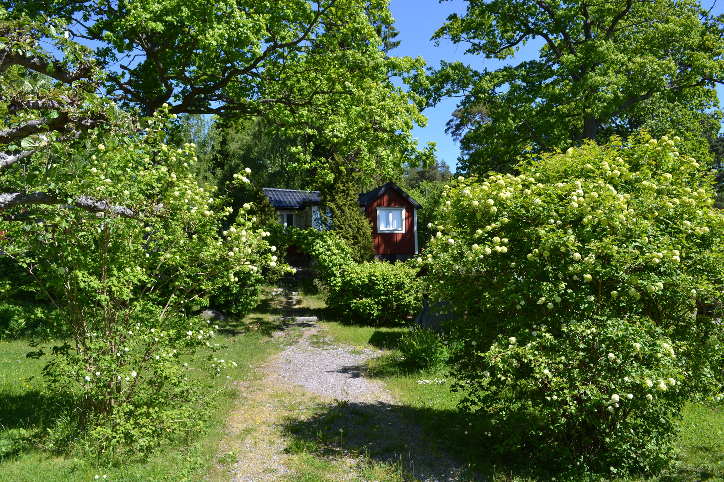 Stugan med omgivande trädgård sedd från söder.