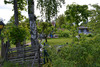 Stugan med omgivande trädgård sedd från Puttisvägen.
