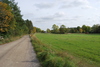 Den före detta odlingsmarken kring Lagnö gård hålls fortfarande öppen.