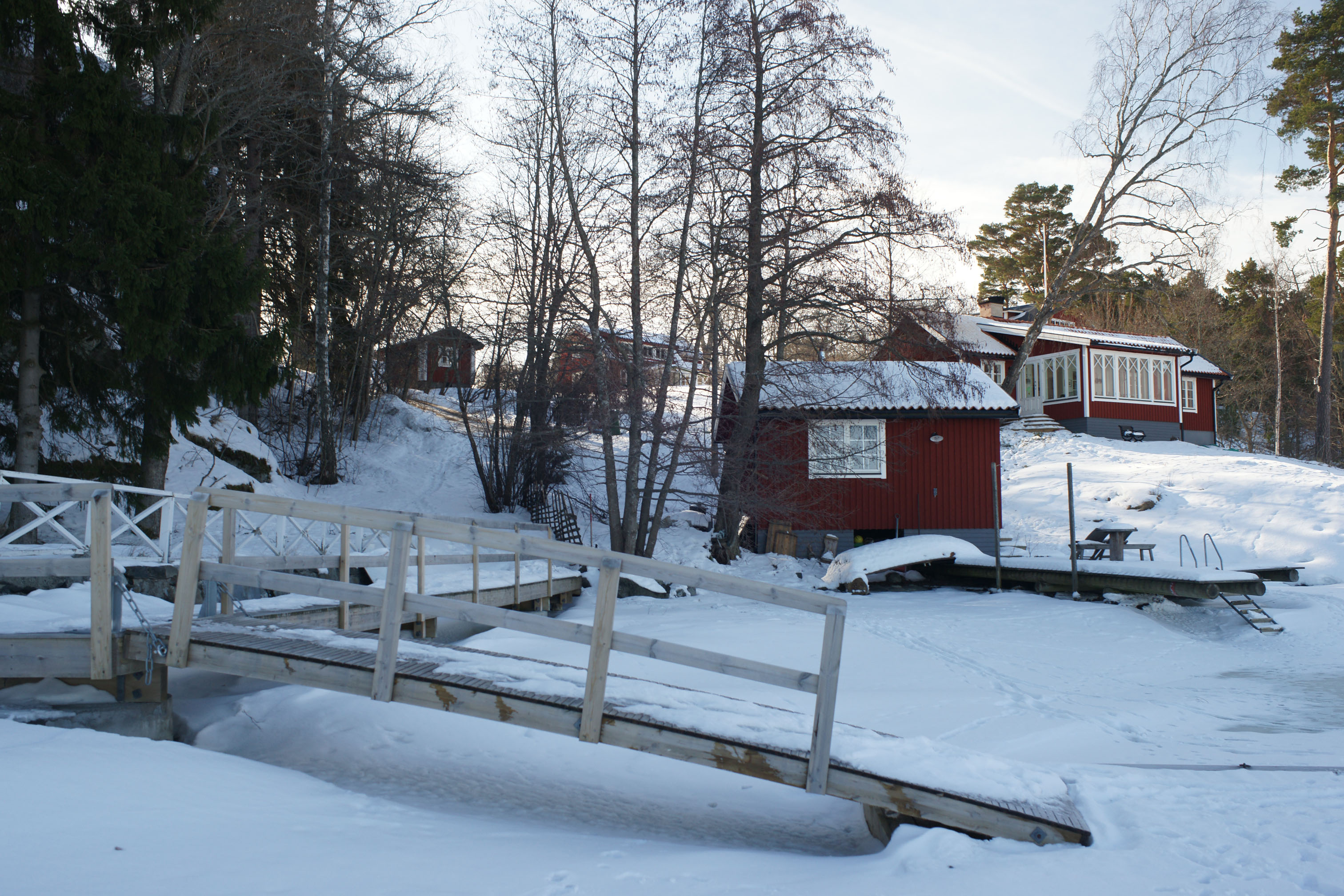 Bostadshus med omgivande tomt sett från norr.