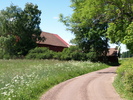 Ödegårdens ladugård och ett svinhus som båda ligger söder om mangården och grusvägen.
