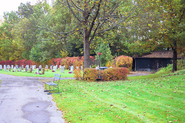 Parti av kyrkogårdens östra del med ekonomibygggnaden.