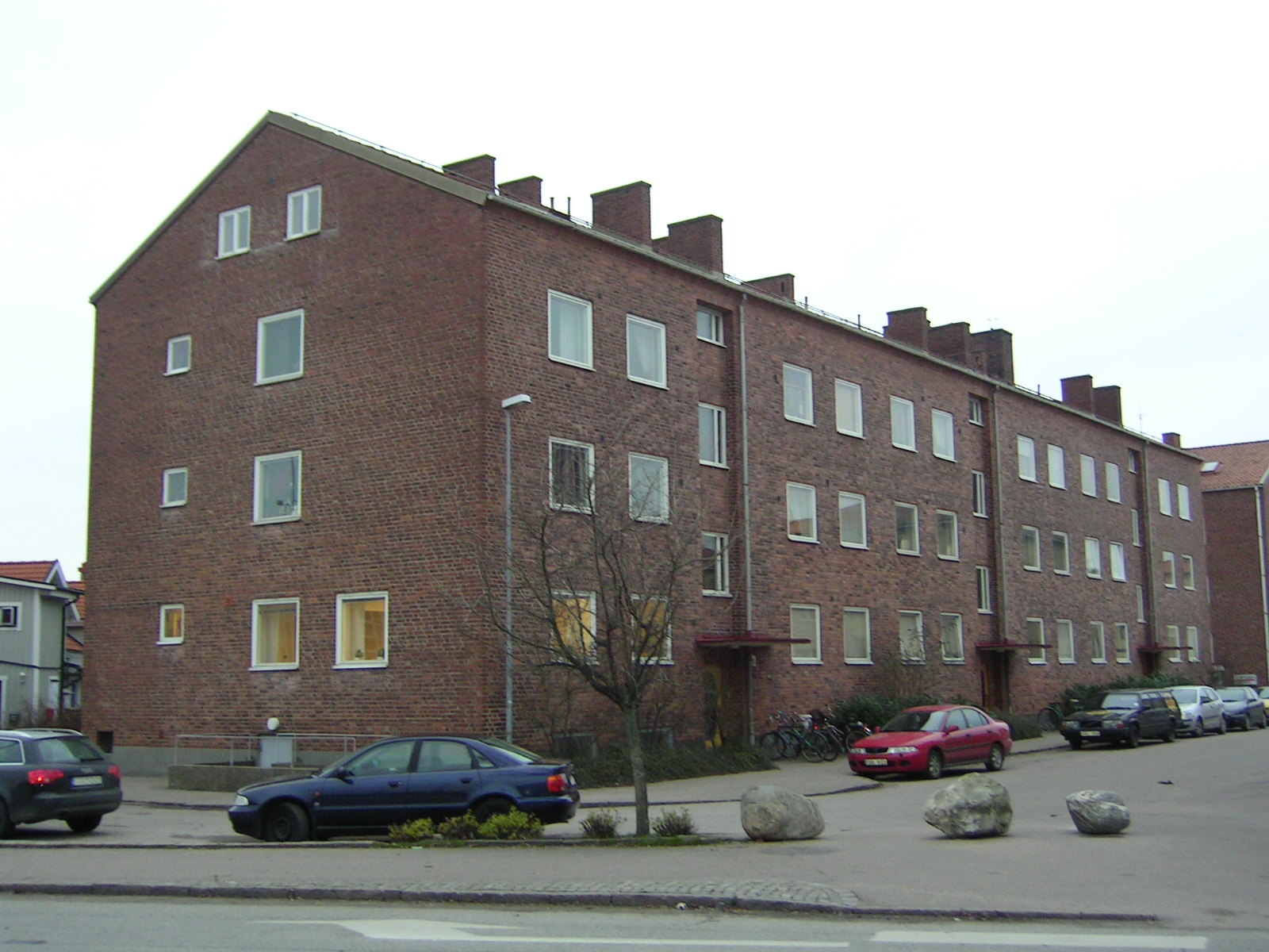 KANINEN 5